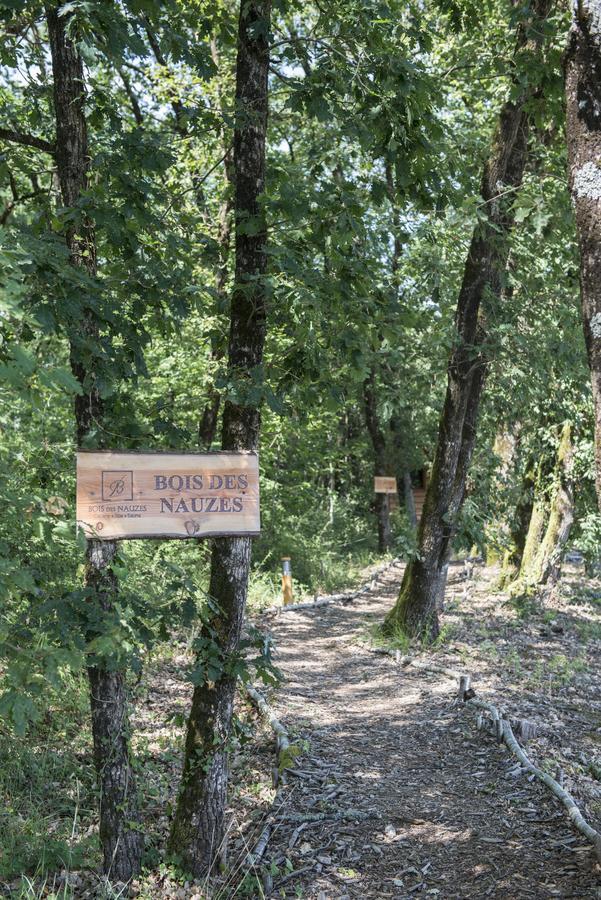 Bois Des Nauzes Vila Seyches Exterior foto